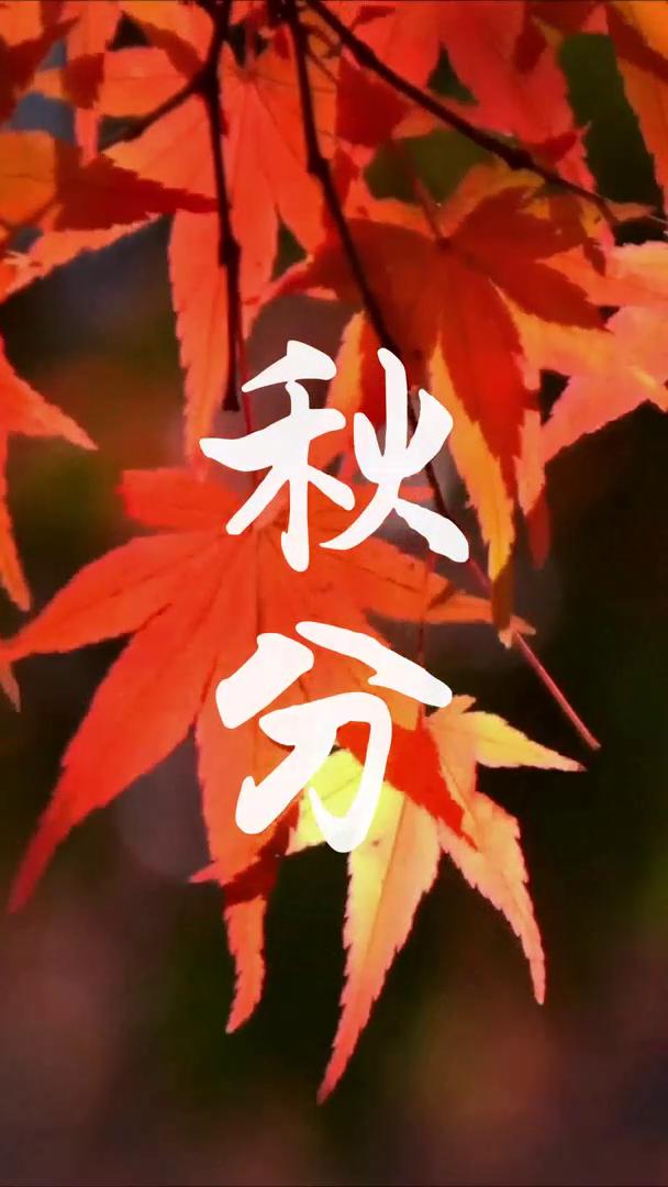 二十四节气｜秋分，人间好时节，一切刚刚好